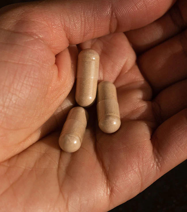 Arrae - MB-1 (Metabolic Burn)